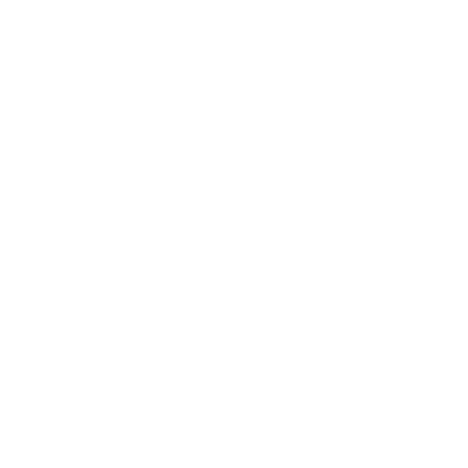 portfolio icon